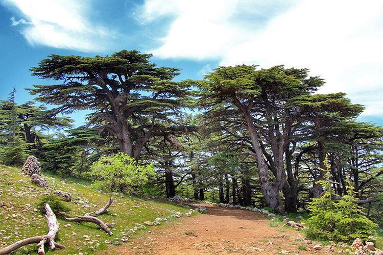 Randonnée dans la réserve naturelle du Chouf