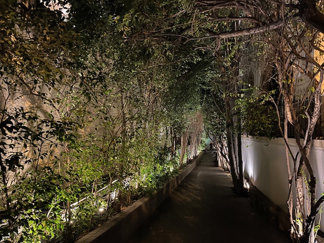 Soirée de fin d'Année 2025  vendredi 12 décembre