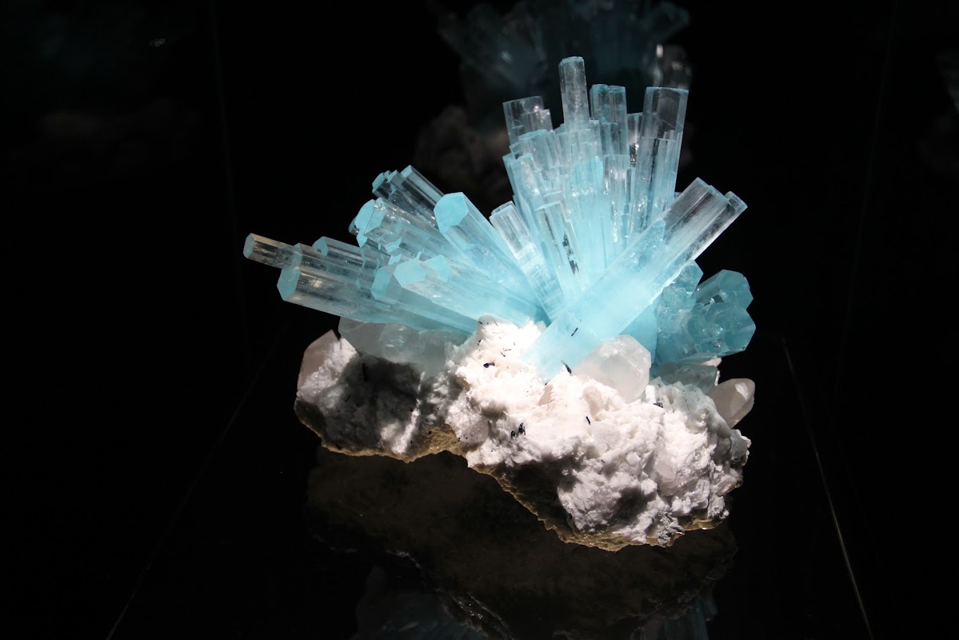 Visite guidée musée MIM - samedi 7 mars 2026